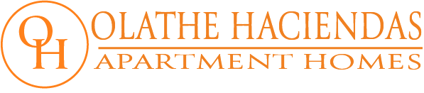 a graphic with the words oahu hacks apartment homes